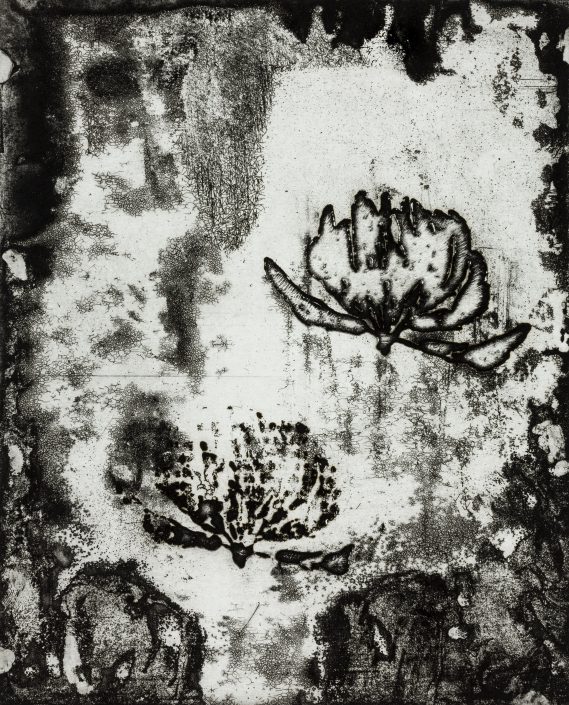 Black Clover Rising, 2013, Sugarlift Etching, 20 x 25 cm, <br><br>Dieser Druck ist im Shop erhältlich, dafür bitte auf das Bild klicken.